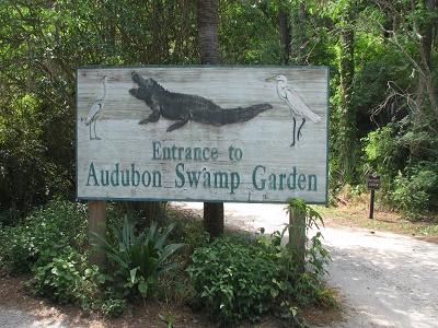 Audubon Swamp Garden